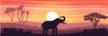 Elephant in the African savanna at sunset. Doum palms, acacia. Silhouettes of animals and plants. Realistic vector landscape. The Royalty Free Stock Photo
